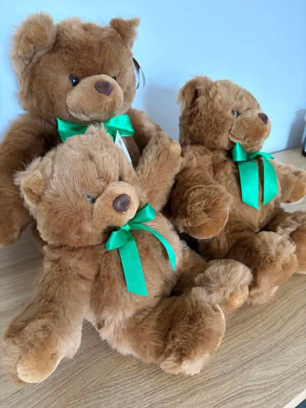 Photo of free Teddy Bears (Hampden Park BN22) #1