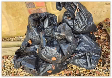 Photo of free Builders sand - fresh in 7 bags (GU14) #1