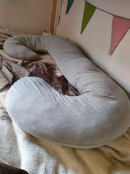 Photo of free Maternity pilow (Millhouse S7) #1