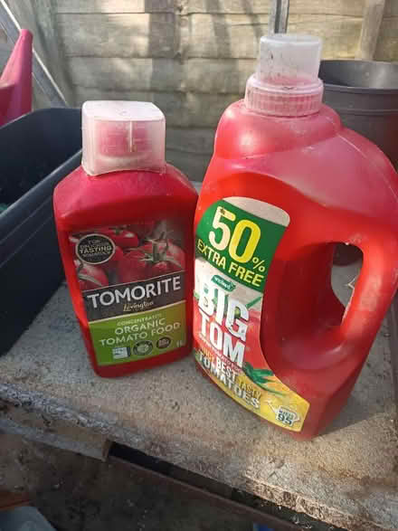 Photo of free Tomato plant food (St Nicholas SG1) #1