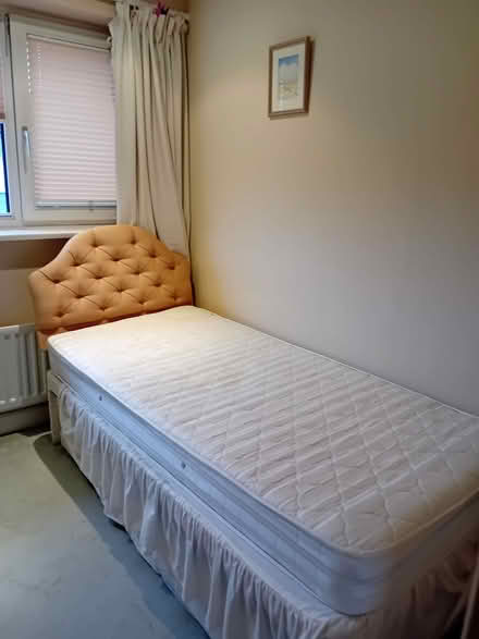 Photo of free Single bed and mattress (Roffey RH13) #1