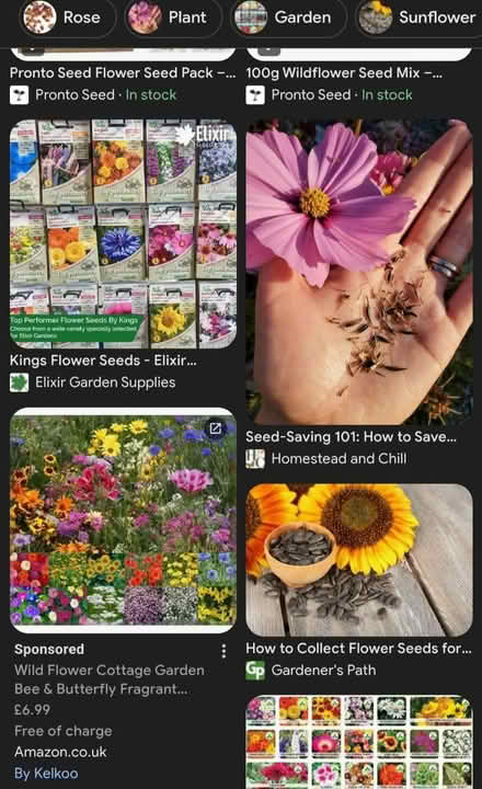 Photo of Flower seeds (headington OX3) #1