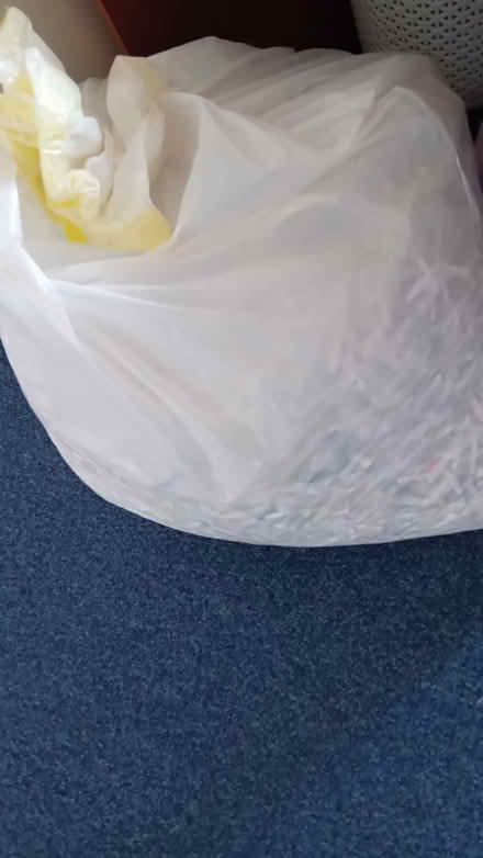 Photo of free pet bedding (Wellsway BS31) #1