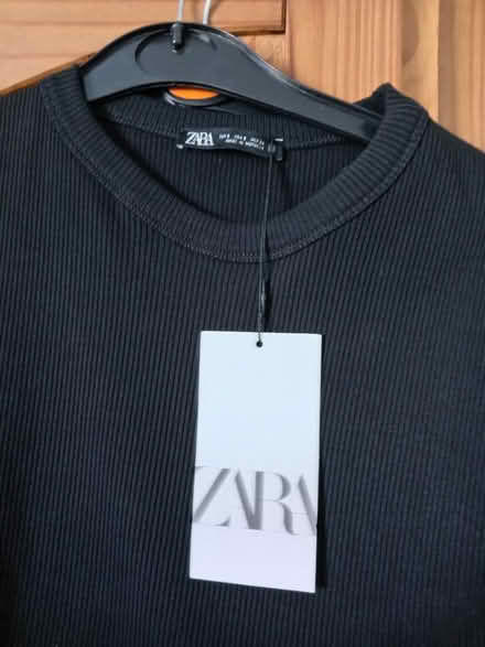 Photo of free Zara dress (Maidstone ME17 4FP) #2