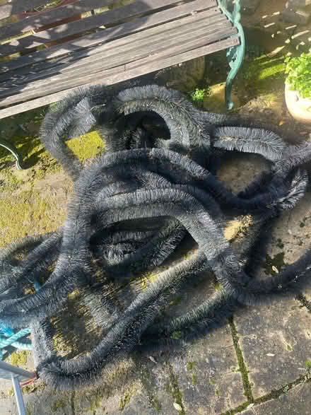 Photo of free Gutter hedgehog (Ryde PO33) #1