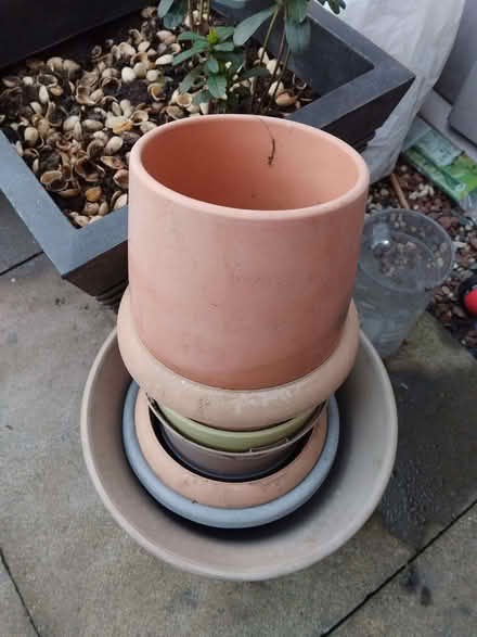 Photo of free Plant pots (Wapping E1) #2