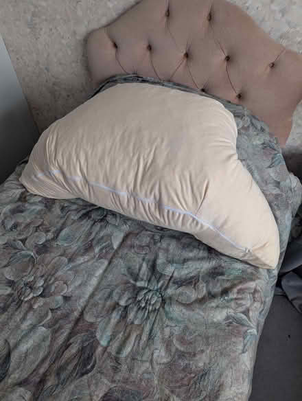 Photo of free Back support cushion Cream velour (Harlaxton NG32) #2