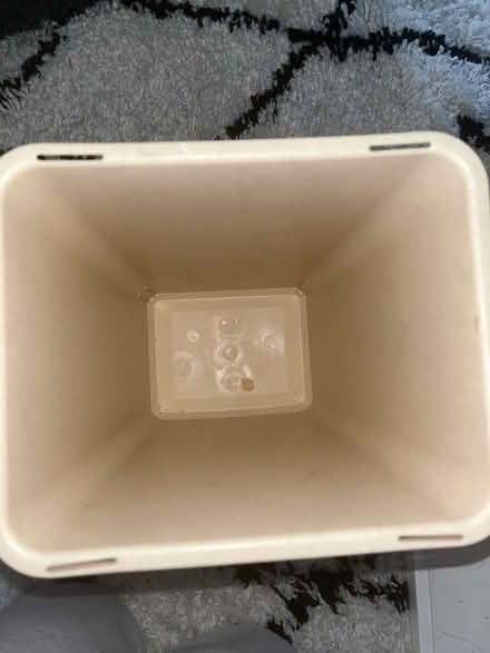 Photo of free Small bin (Catford) #2