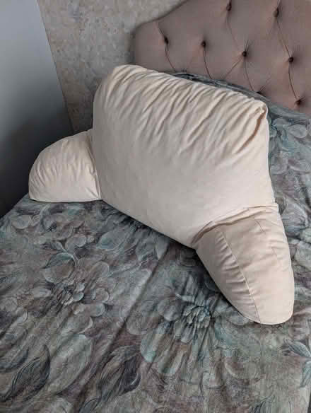 Photo of free Back support cushion Cream velour (Harlaxton NG32) #1