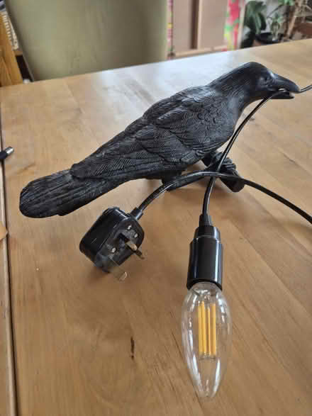 Photo of free Crow lamp (Duddingston EH15) #1