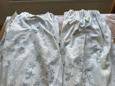 Photo of free Pair of curtains (Enfield EN2) #1