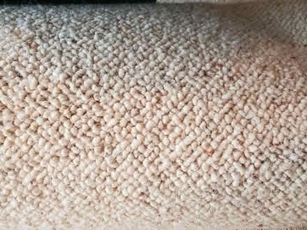 Photo of free New - Two sections of beige Berber wool carpet (Kendal LA9) #1