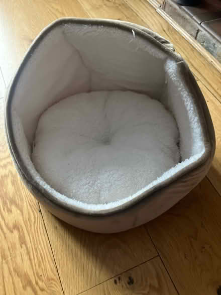 Photo of free Cat bed (Prittlewell SS2) #1