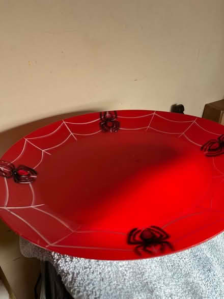 Photo of free Spider bowl/ plate (Ipswich IP2) #1