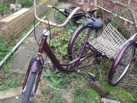 Photo of free Adult tricycle with gears (Neston CH64) #3