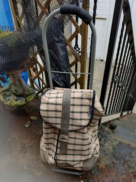 Photo of free Shopping Trolley (Torquay TQ2) #1