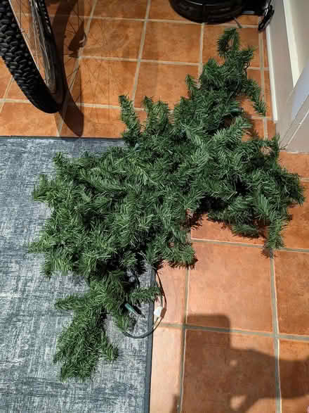 Photo of free lights and garland (Old Ottawa south) #2