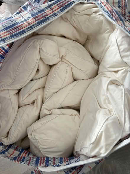 Photo of free Mattress Topper (Nottingham NG11) #1