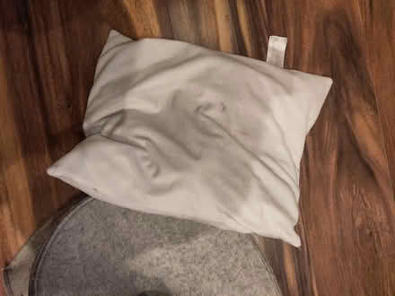 Photo of free zoofari felt Cat bed (navan road) #2