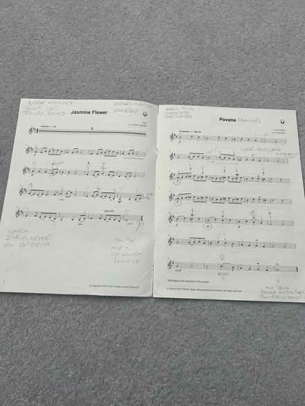 Photo of free Violin music (Withdean BN1) #2