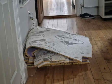Photo of free Underlay pieces (YO231BN) #2
