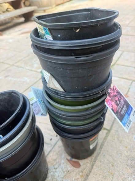 Photo of free 2.5 qt planting pots (San Jose) #2