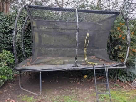 Photo of free Trampoline (Golders Green NW11) #3