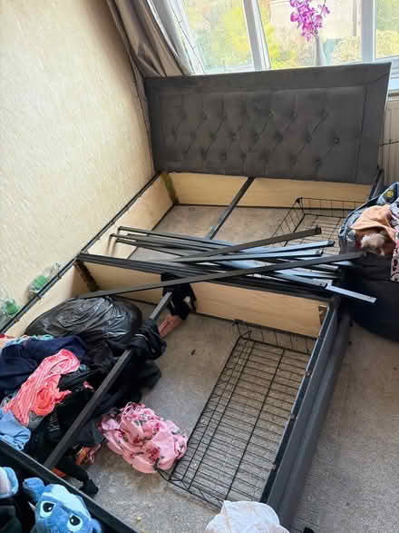 Photo of free Velvet bed grey with storage (Elm Park) #2