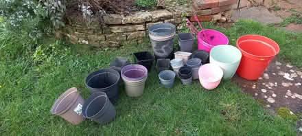 Photo of free Assorted sized plastic plant pots (Galmpton TQ5) #1