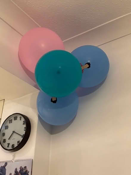 Photo of free Harry styles inspired balloons. Not helium. About 12 (Woking GU21) #1