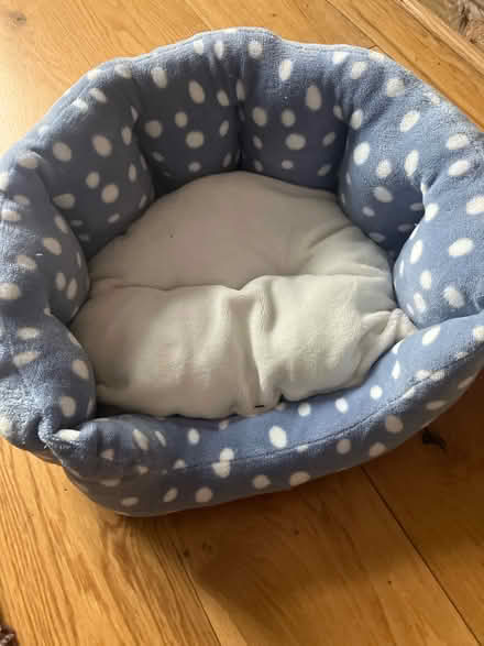 Photo of free Pet bed (Prittlewell SS2) #1