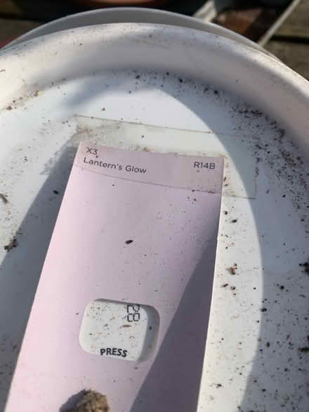 Photo of free Paint for walls and ceilings (Langham) #1