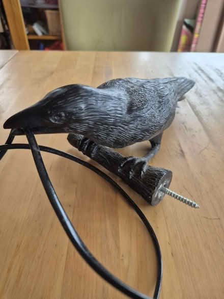 Photo of free Crow lamp (Duddingston EH15) #2