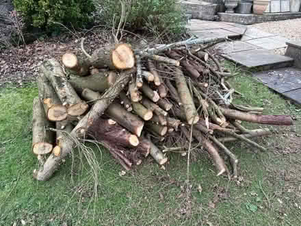 Photo of free Firewood (Nailsworth GL6) #1