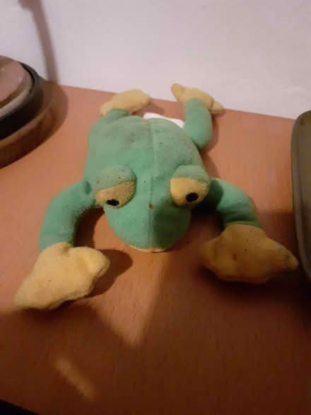 Photo of free Beany frog toy (Marston, Oxford OX3) #1