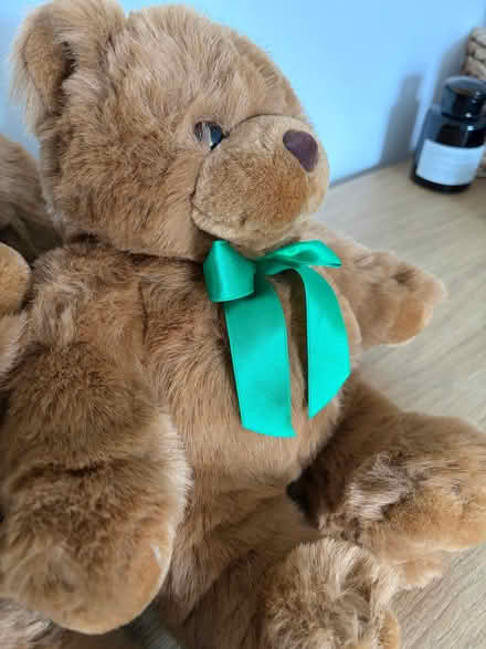 Photo of free Teddy Bears (Hampden Park BN22) #3