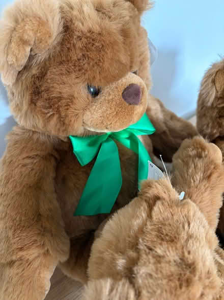 Photo of free Teddy Bears (Hampden Park BN22) #4