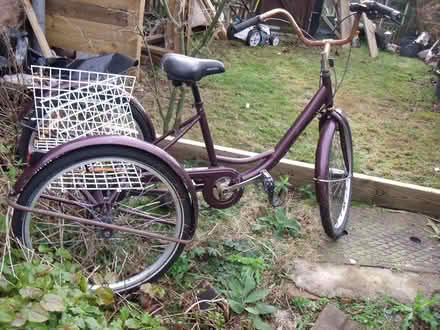Photo of free Adult tricycle with gears (Neston CH64) #1