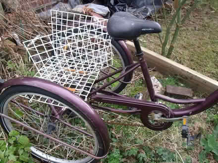 Photo of free Adult tricycle with gears (Neston CH64) #2