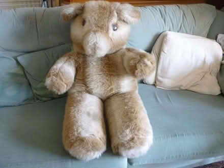 Photo of free 3ft Teddy Bear (GU46) #1