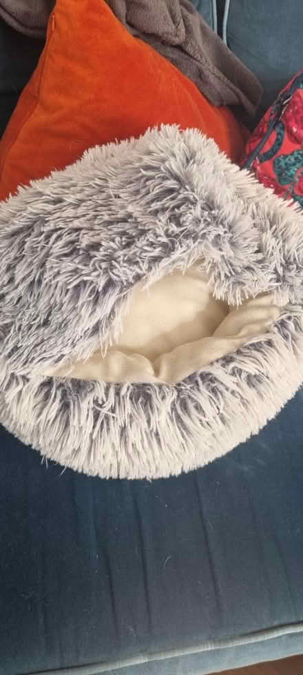 Photo of free Pet bed (LE6, Groby) #1