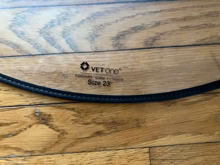 Photo of free Size 23 Vet Cone for Dogs (Southwest Waterfront) #2