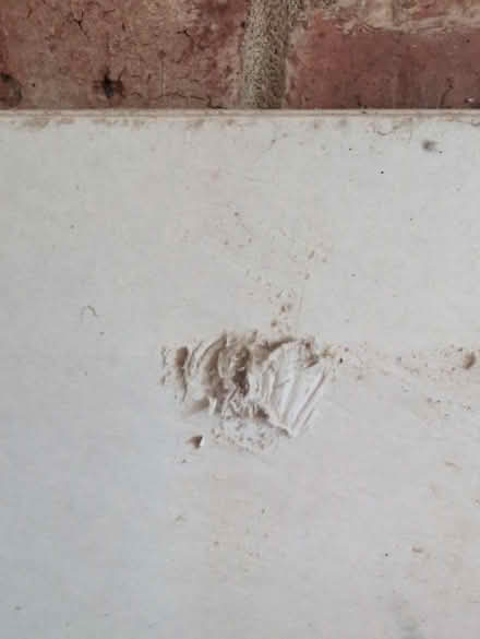 Photo of free Plaster boards (Ferring BN12) #1