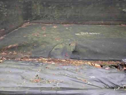 Photo of free Trampoline (Golders Green NW11) #3