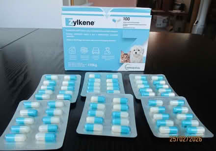 Photo of free Zylkene capsules (IP5) #1