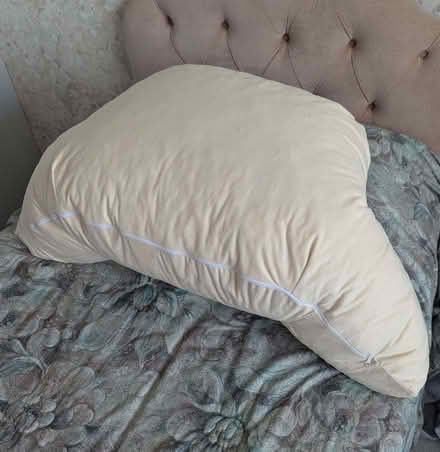 Photo of free Back support cushion Cream velour (Harlaxton NG32) #3