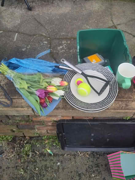 Photo of free Tulips, balls, plates, masher (Bristol BS3) #1