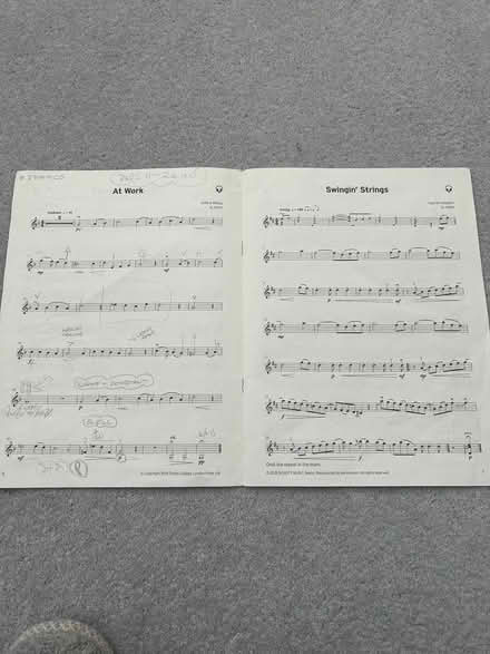 Photo of free Violin music (Withdean BN1) #2