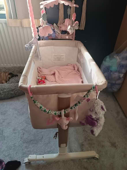 Photo of free Next 2 Me Bed (Carrington NG5) #1