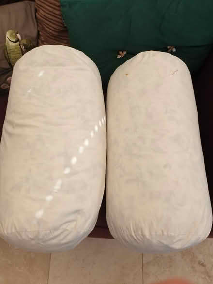 Photo of free Bolster cushion inserts (St Leonards-on-sea TN38) #1